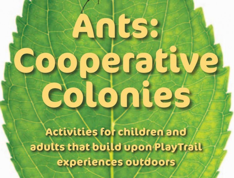 Ants-Cooperative-Colonies