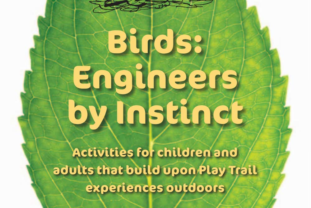 Birds-Engineers-by-Instinct