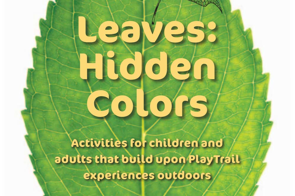 Leaves-Hidden-Colors